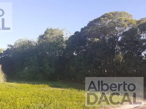 Terreno en Venta en Villa Elisa, USD 50.000