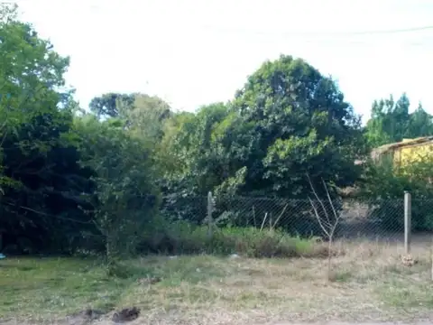 Corbeta Belfast 1500 Parc278 Lote11 al 1500