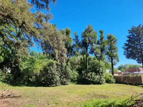 Terreno en Venta de 600,0 m2