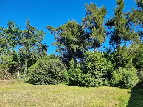 Terreno en Venta en Bella Vista, USD 120.000