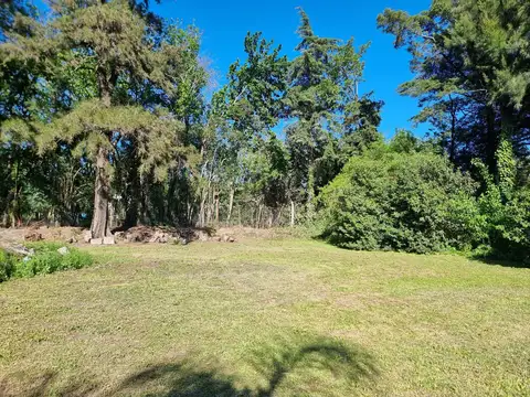 Terreno en Bella Vista