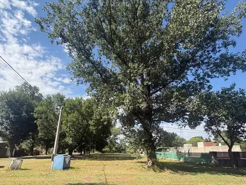 Terreno en Venta de 800,0 m2