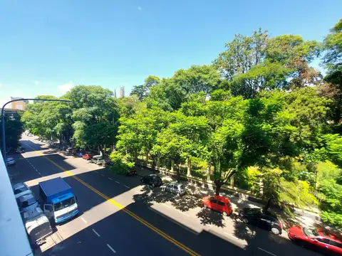 Luis María Campos al 1050