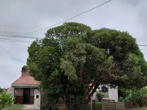 Oportunidad  CASA A RECICLAR EXCELENTE UBICACION