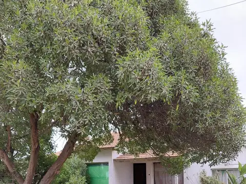 Oportunidad  CASA A RECICLAR EXCELENTE UBICACION