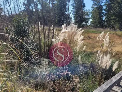 Terreno en Venta en Los Pinares Country Club, USD 40.000