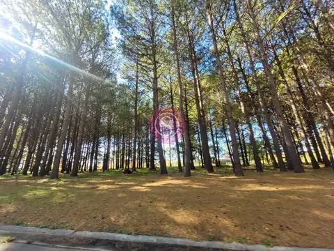 Terreno Lote  en Venta en Pinares CC, Exaltación de la Cruz, G.B.A. Zona Norte