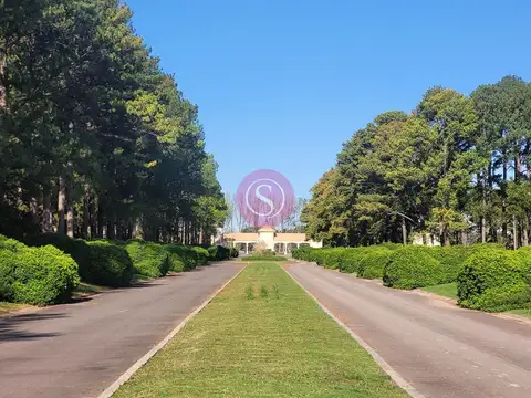Pinares Club de Campo, Exaltación de la Cruz 100