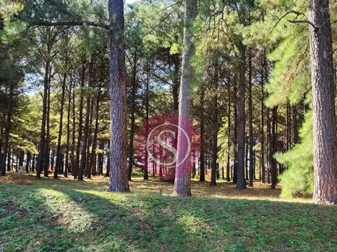 Terreno Lote  en Venta en Pinares CC, Exaltación de la Cruz, G.B.A. Zona Norte