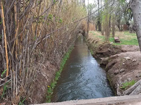 VENTA DE FINCA EN CUADRO BENEGAS - SAN RAFAEL