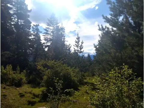 Terreno en Venta en Cushamen, USD 70.000