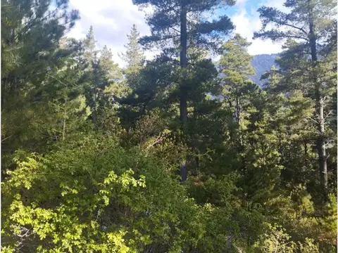 Terreno en Venta de 20000,0 m2