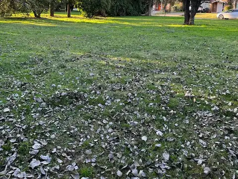 Terreno en Venta 13  mts Frente