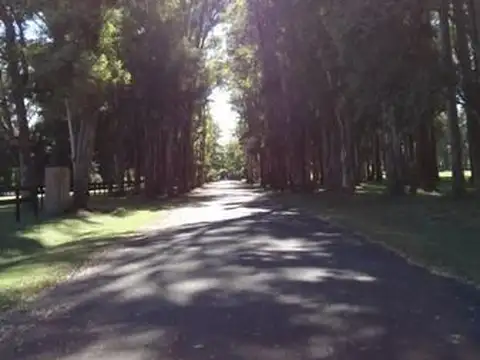Haras San Pablo 100