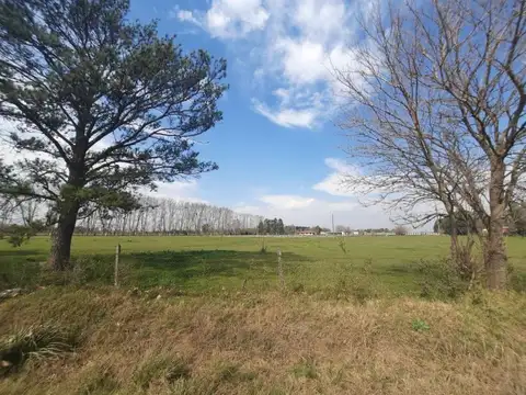 Campo 8,5HS en Ibarlucea