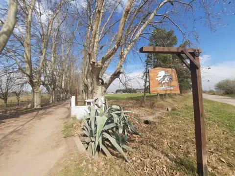 25 de Mayo