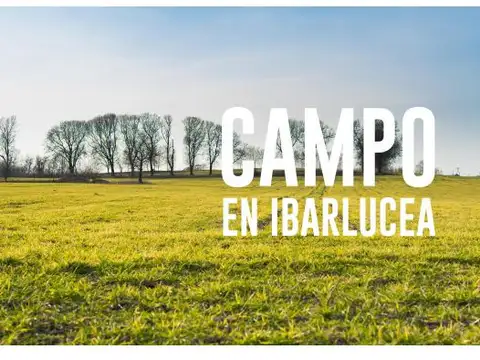 Campo en Venta en Ibarlucea, Rosario