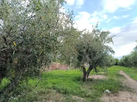 Terreno en Venta en Cruz de Piedra, USD 27.000