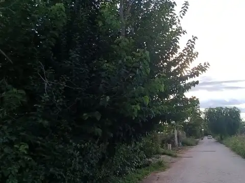 Terreno en Venta de 4000,0 m2