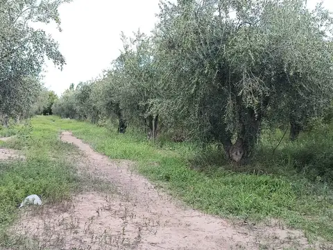 Terreno en Venta en Cruz de Piedra, USD 27.000