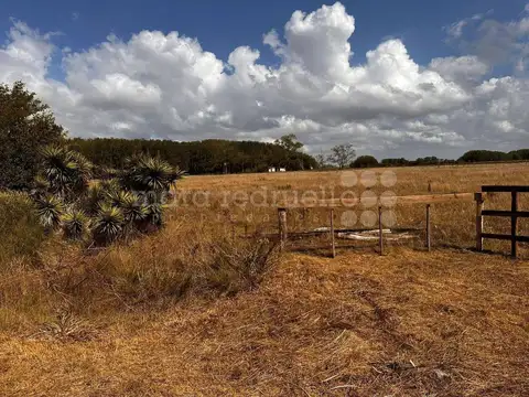 Terreno en Venta en Don Cipriano, USD 45.000