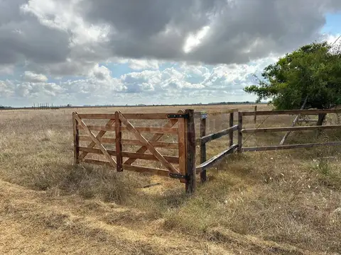 Terreno en Venta en Don Cipriano, Partido de Chascomús