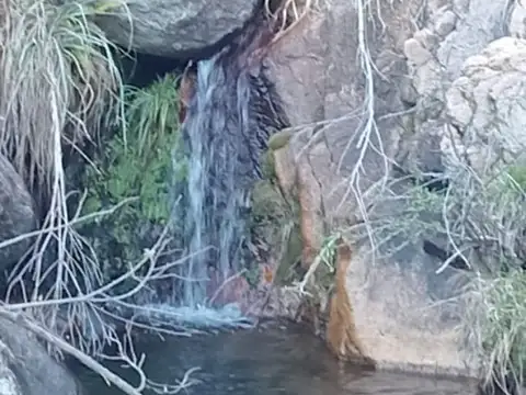 Campo en Venta en Papagayos, Chacabuco