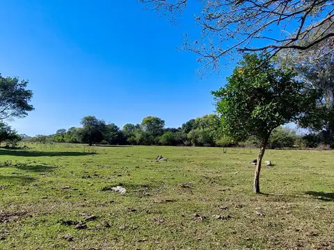 Libertador Esquina Corrientes