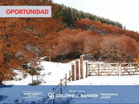 VENTA Lote 1137m2 - UF46 - B31 Piedra de San Francisco, San Martin de Los Andes