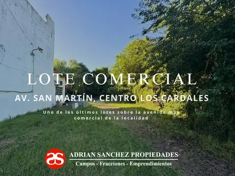 Importante Lote Comercial sobre Avenida San Martín, Centro Los Cardales