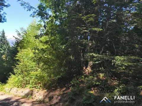 Terreno en Venta, FOT 20