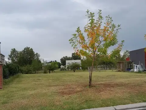 Terreno en Venta en Pilar del Este - Santa Lucia, USD 63.000