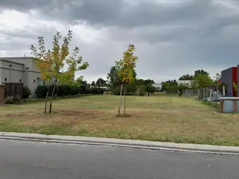 Excepcional Lote Santa Lucia Pilar del Este