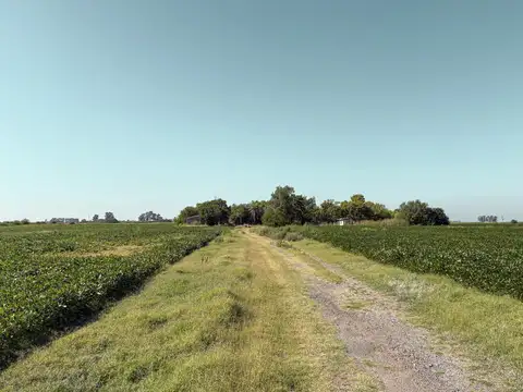 Campo agricola de 14.9 hectareas en Soldini