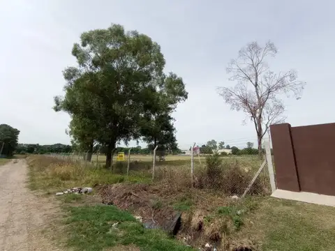 DE LA CARCOVA, E. 1000