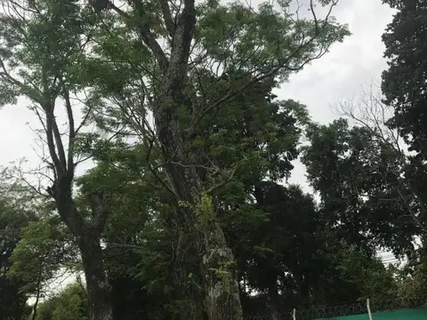 Lote terreno en venta en Barrio Alvear de Benavidez, Tigre cerca de Villanueva FINANCIACION