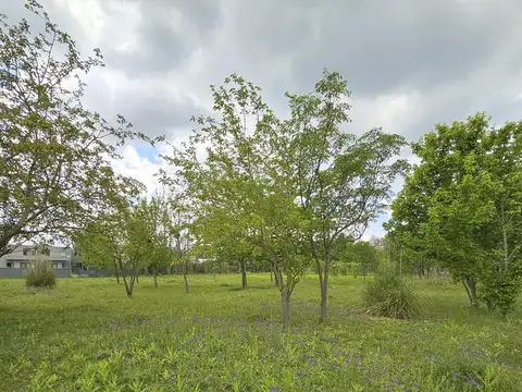 Terreno en Venta 50  mts Fondo