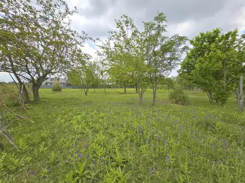 Lote 1000m2 Esquina A. Tonda y Aduana, San Eduardo, Fisherton - Rosario.