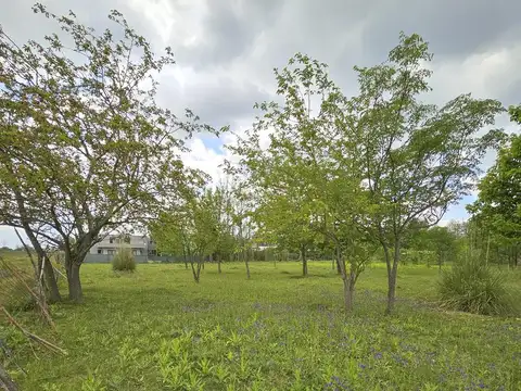 Terreno en Venta 20  mts Frente