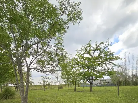 Lote 1000m2 Tonda y Aduana, San Eduardo, Fisherton - Rosario.