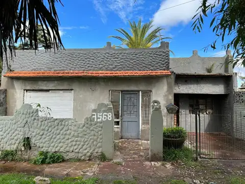 Rejon 7568