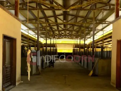 Terreno en Venta de 1534,0 m2