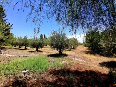 VENTA DE FINCA EN BARRANCAS