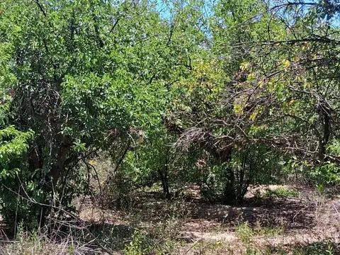 Terreno en Venta de 40000,0 m2