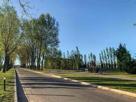 Ruta Provincial 58