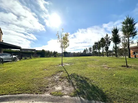 Boulevard de Todos los Santos 3500