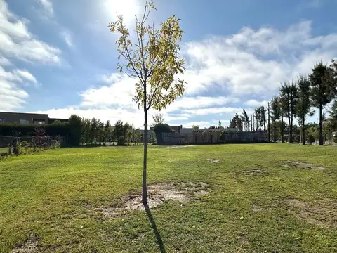 Lote en venta en cul de sac San Rafael Villanueva