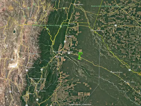 Ruta 81