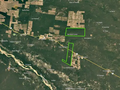 Ruta 81