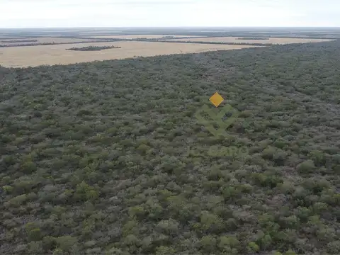 Campo en Venta en Rivadavia, Salta
